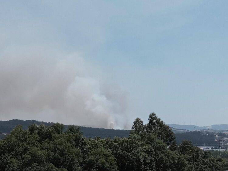 Incêndios em Leiria e Batalha mobilizam mais de 200 bombeiros