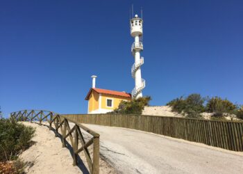 ICNF investiu 275 mil euros na melhoria de áreas de lazer das matas litorais