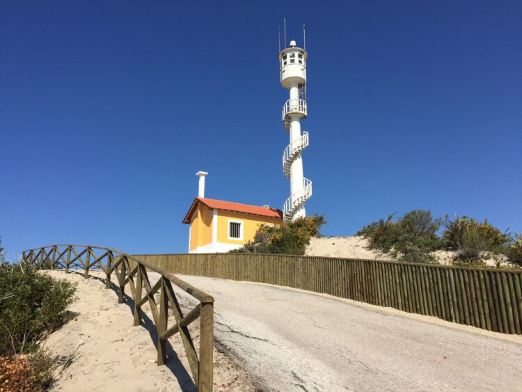 ICNF investiu 275 mil euros na melhoria de áreas de lazer das matas litorais