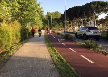 Estudo prévio do Parque  Verde de Pombal prevê piscina  ao ar livre