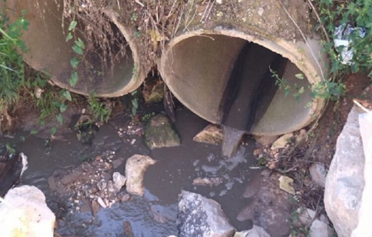 “Descarga violenta” de efluente suinícola detectada esta tarde na ribeira dos Milagres