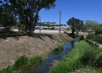 Mais de um milhão de euros para limpar margens dos rios Alcoa e Baça