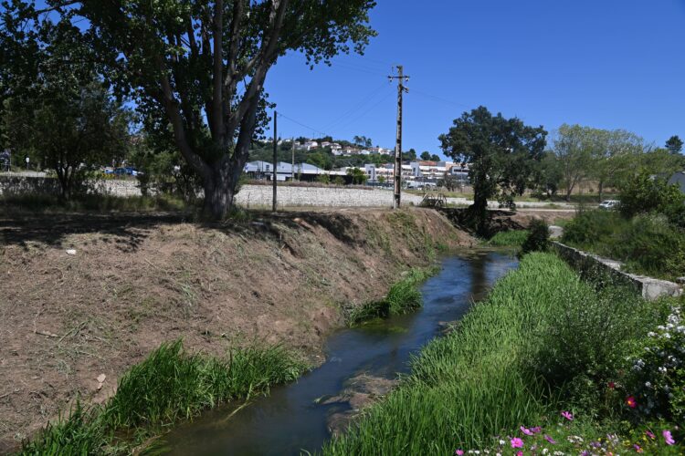 Mais de um milhão de euros para limpar margens dos rios Alcoa e Baça