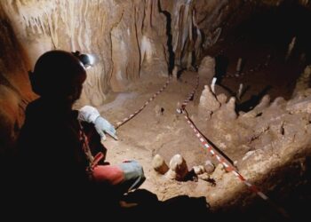 Expedição revela ossos humanos e de animais em rituais fúnebres