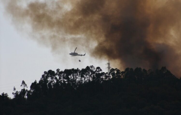 Incêndio em Espite envolve dez meios aéreos