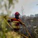 Fogo em Freixianda arde com intensidade há mais de uma hora