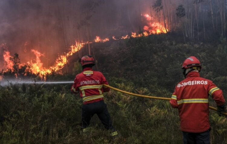 Sete meios aéreos tentam apagar fogo em Ansião