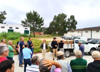 Apicultores de Leiria recebem 50 enxames de abelhas