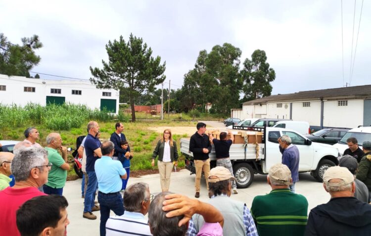 Apicultores de Leiria recebem 50 enxames de abelhas