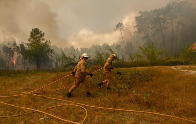 Após incêndios de 2022, Governo excluiu Abiul dos apoios. Dois anos depois, ajuda chega a conta-gotas