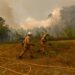 Após incêndios de 2022, Governo excluiu Abiul dos apoios. Dois anos depois, ajuda chega a conta-gotas
