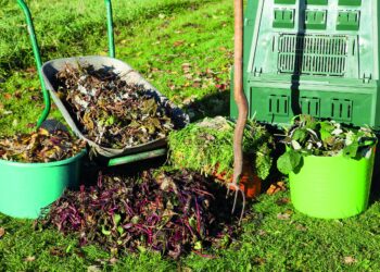Ourém com novo serviço de recolha de resíduos verdes porta-a-porta