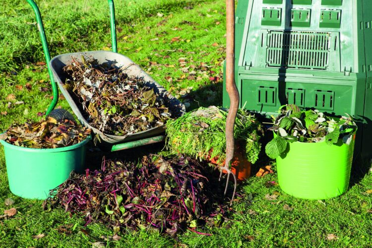Ourém com novo serviço de recolha de resíduos verdes porta-a-porta