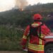 Incêndio em Espite está em fase de rescaldo