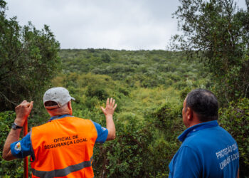 Voluntários garantem freguesia do Arrabal “armada até aos dentes”