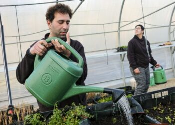 Cercicaper constrói 12 fogos em habitação colaborativa