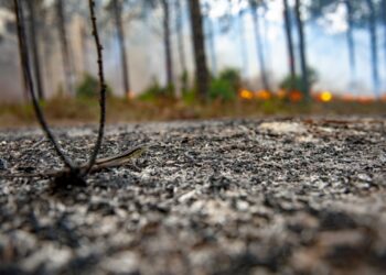 Incêndio em Ourém em conclusão