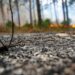 Incêndio em Ourém em conclusão
