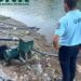 GNR identifica quatro pessoas por captações de água ilegais na albufeira de Castelo de Bode