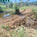 Detectadas construções ilegais em ribeiras de Pombal