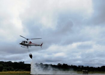 Detida mulher de 68 anos por incêndio florestal em Caldas da Rainha