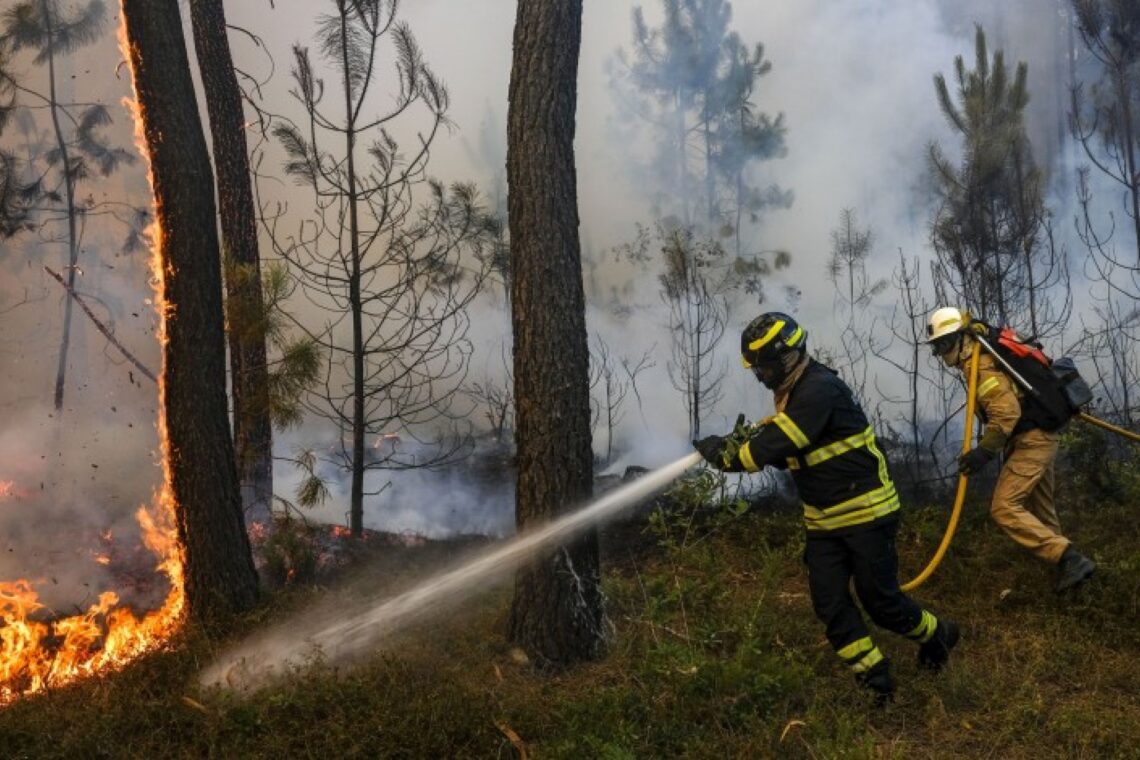 Vento complicou incêndio em Ourém que tem uma frente activa