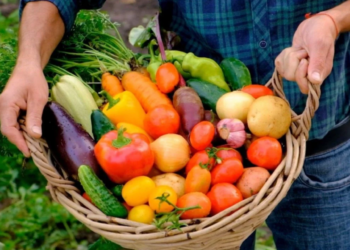 Serro Ventoso, em Porto de Mós, inaugura mercado rural