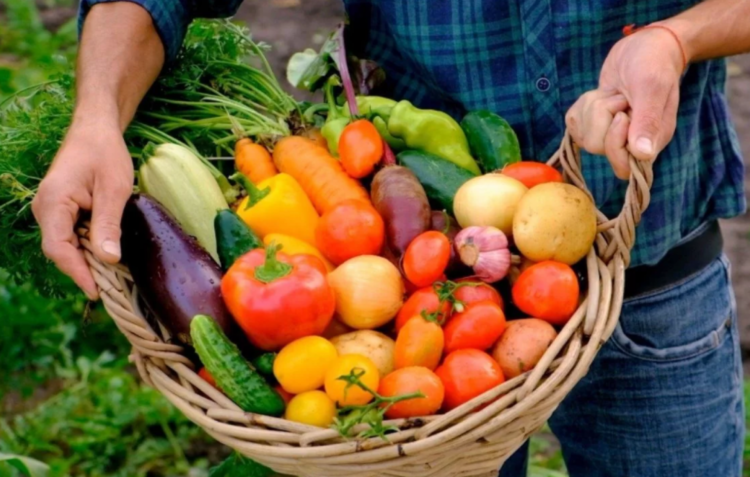 Serro Ventoso, em Porto de Mós, inaugura mercado rural
