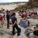 Passeio propõe visita aos vestígios dos mares jurássicos