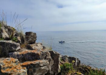 No dia 1 de Setembro, voluntários retiram lixo das escarpas do Cabo Carvoeiro