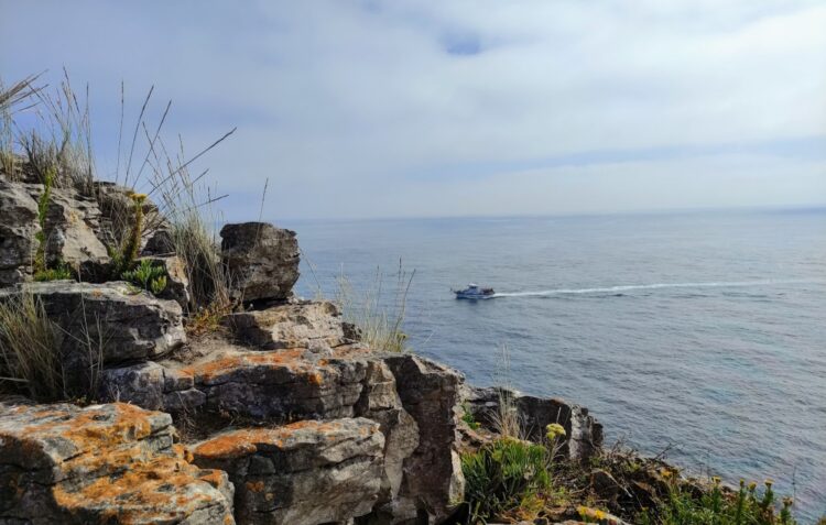 No dia 1 de Setembro, voluntários retiram lixo das escarpas do Cabo Carvoeiro
