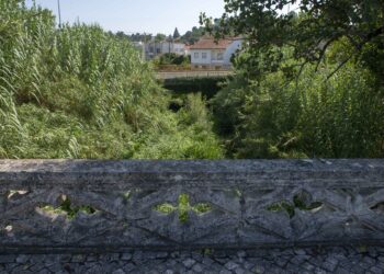 Mais de 1,6 milhões de euros para recuperar 55 quilómetros de rios na região