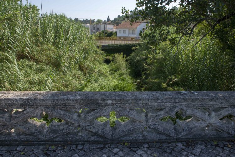 Mais de 1,6 milhões de euros para recuperar 55 quilómetros de rios na região