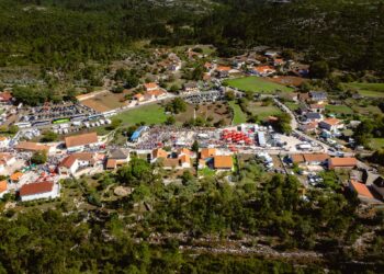 Concertinas: mais de 600 tocadores esperados na Barrenta