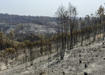 Homem de 75 anos provoca incêndio em Pombal ao queimar “amontoados de sobrantes agrícolas”