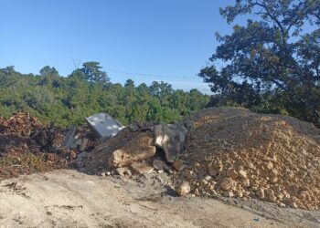 Despejo ilegal de resíduos destrói  manchas de carvalhos na Batalha