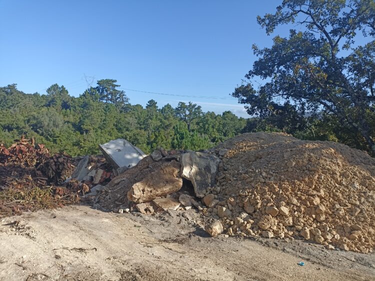 Despejo ilegal de resíduos destrói manchas de carvalhos na Batalha
