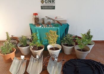 GNR detém quatro suspeitos de tráfico de droga em flagrante