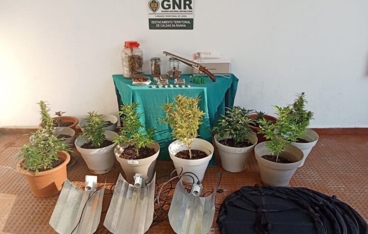 GNR detém quatro suspeitos de tráfico de droga em flagrante