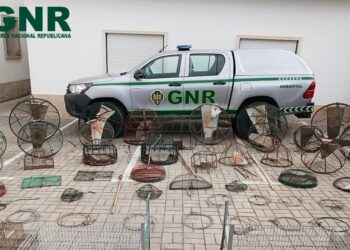 GNR detém suspeito de caça não autorizada