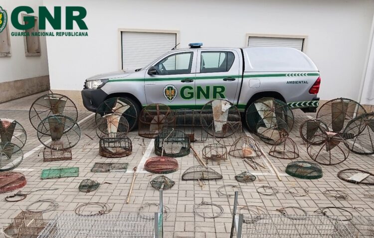 GNR detém suspeito de caça não autorizada