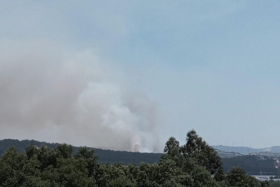 Incêndios: Fogo em Alvaiázere dominado desde as 20:30 horas