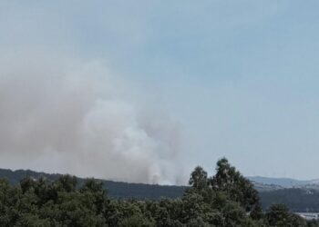 Incêndios: Fogo em Alvaiázere dominado desde as 20:30 horas