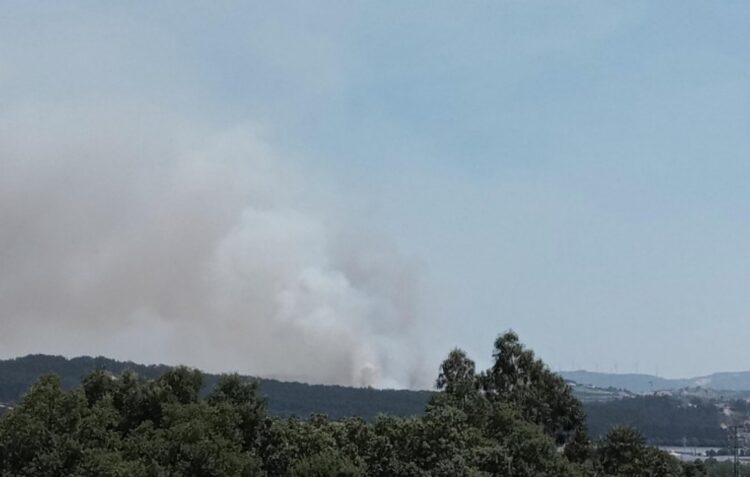 Incêndios: Fogo em Alvaiázere dominado desde as 20:30 horas