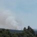 Incêndios: Fogo em Alvaiázere dominado desde as 20:30 horas