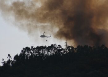 Incêndio em Alvaiázere mobiliza mais de 300 operacionais (Actualizada)