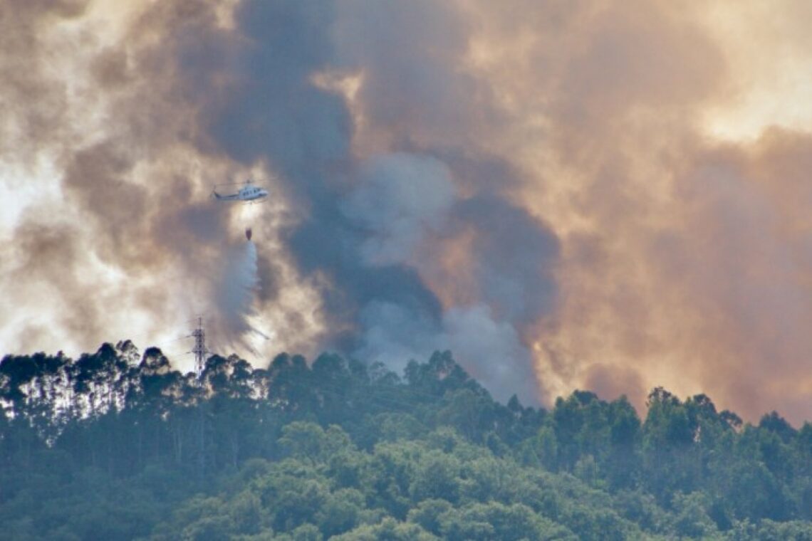 Incêndio em Amor que mobilizou mais de 160 operacionais entrou em fase de rescaldo