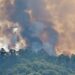 Incêndio em Amor que mobilizou mais de 160 operacionais entrou em fase de rescaldo