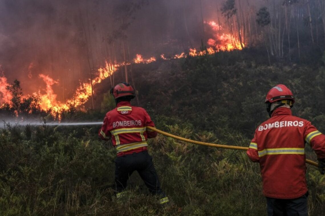 O alerta para o incêndio chegou às autoridades pelas 14:15 horas