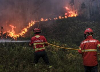 Mais de uma centena de bombeiros combatem incêndio no concelho de Pombal